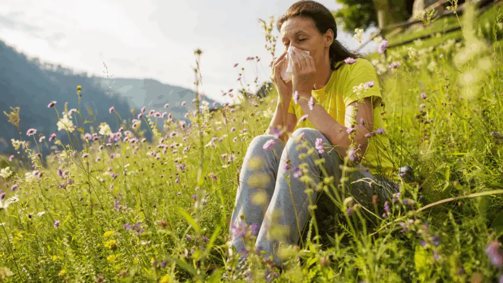 Person sneezing in a field of spring flowers, a result of seasonal allergies